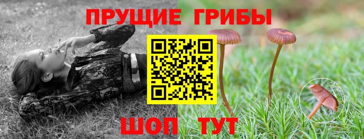 купить  цена  Вход с VPN  Соль-Илецк  Псилоцибиновые грибы MAGIC MUSHROOMS  Псилоцибиновые грибы мухоморы 