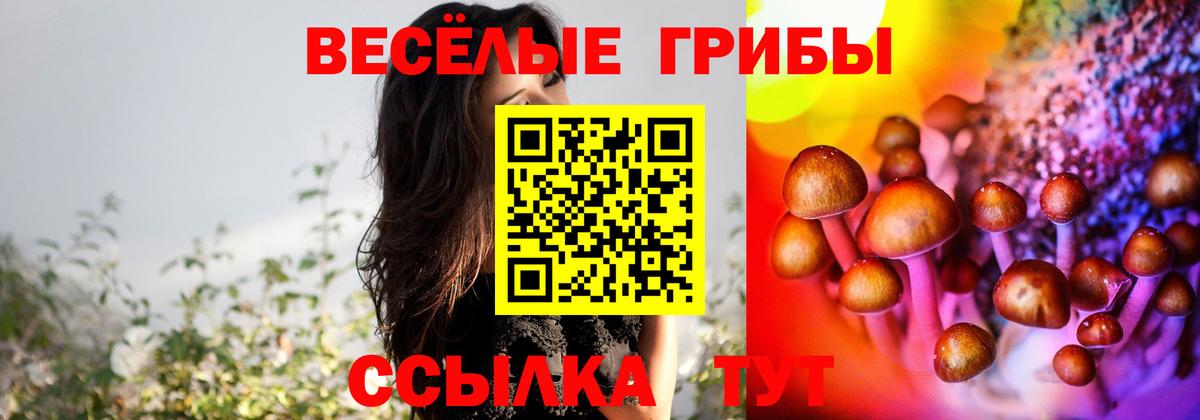 Галлюциногенные грибы прущие грибы Соль-Илецк